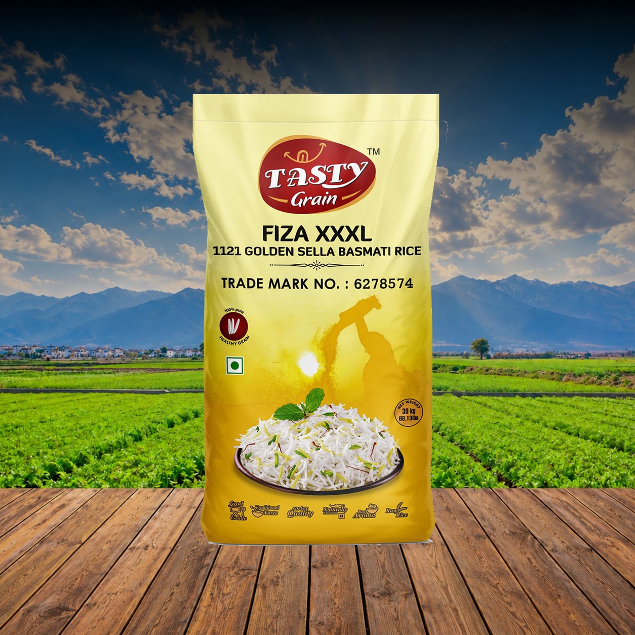 TG Fiza XXXL Golden